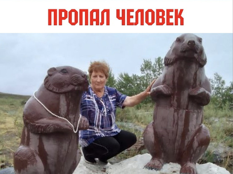 В Туве спасатели продолжают поиски 72-летней женщины