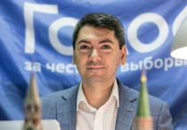 Помещен в СИЗО один из лучших в России специалистов по избирательному праву