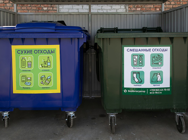 Житель Новодвинска решил мусорную проблему в своем дворе с помощью губернатора