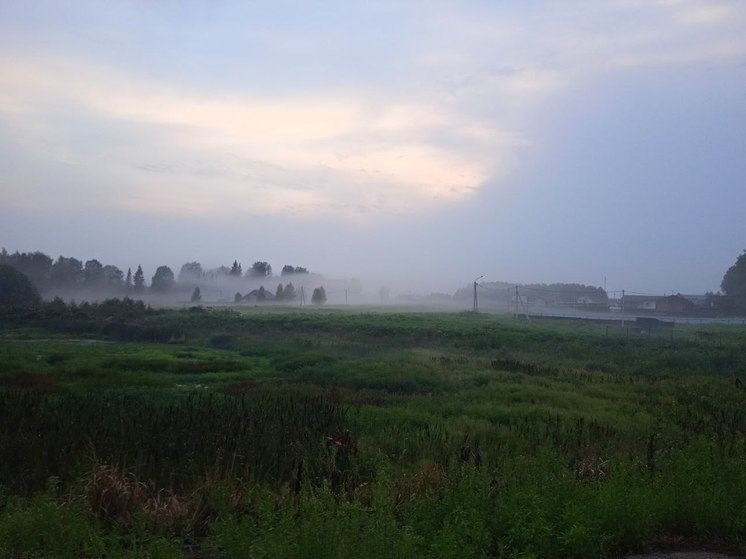 Вильфанд: столбики термометров в Москве не будут подниматься выше +20