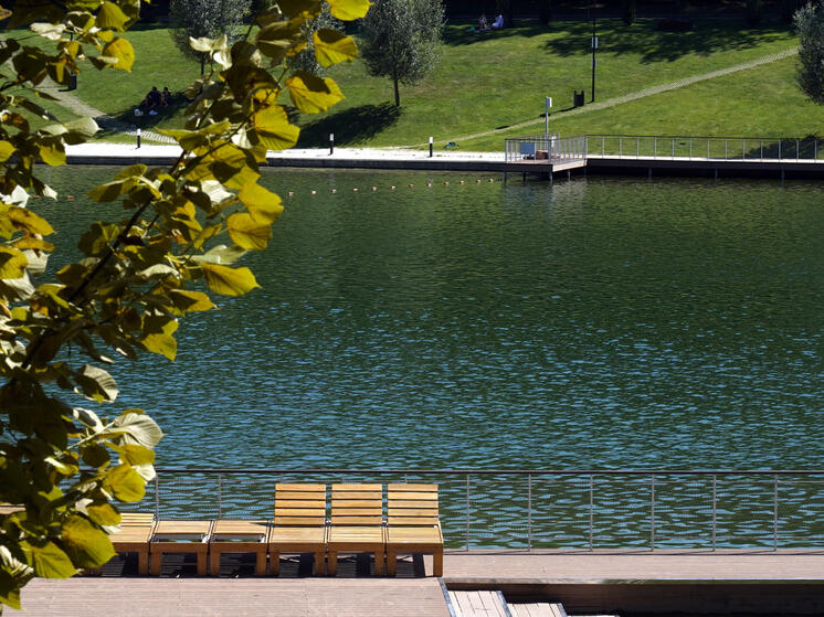 По поручению губернатора расширят зоны отдыха на Комсомольском пруду в Ставрополе