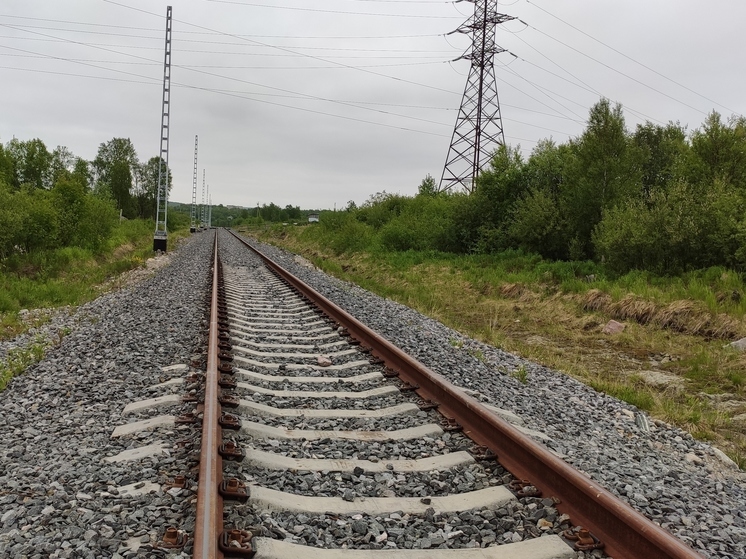 В Великом Новгороде осудят мужчину, попытавшегося украсть детали от ж/д путей