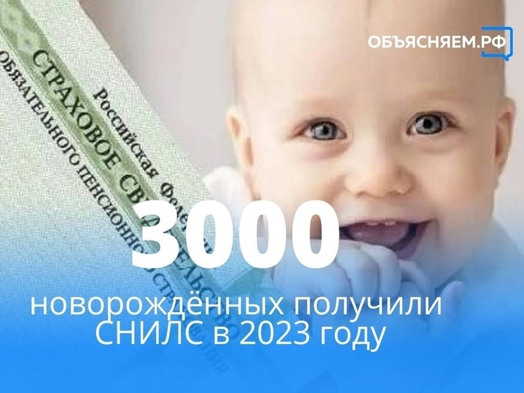 С начала года три тысячи маленьких смолян получили СНИЛС