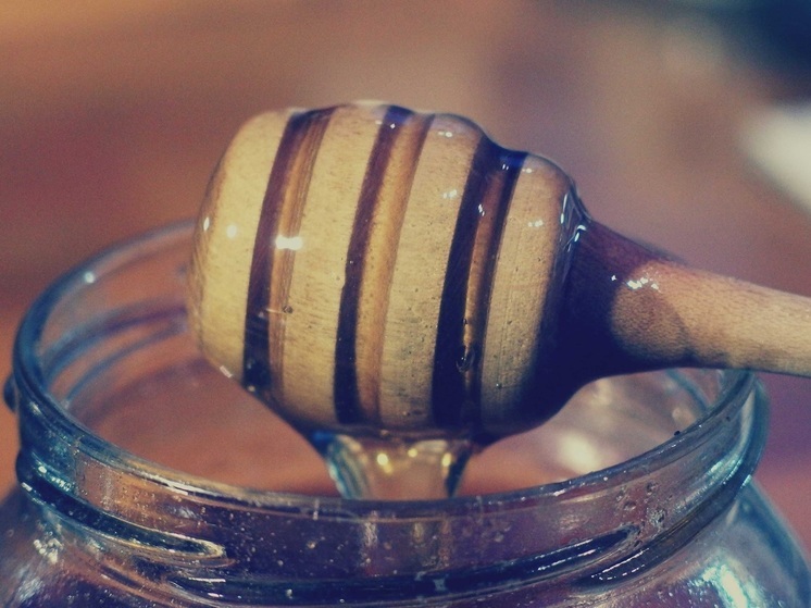 Мед и ягоды будут продавать на набережной Петрозаводска