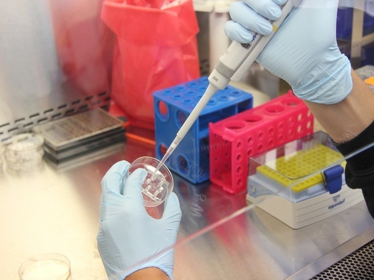 В Люберцах зафиксировали наличие в воздухе опасных веществ