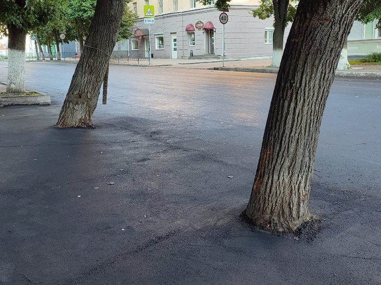 Мэрия города Орла нашла новый способ борьбы с деревьями