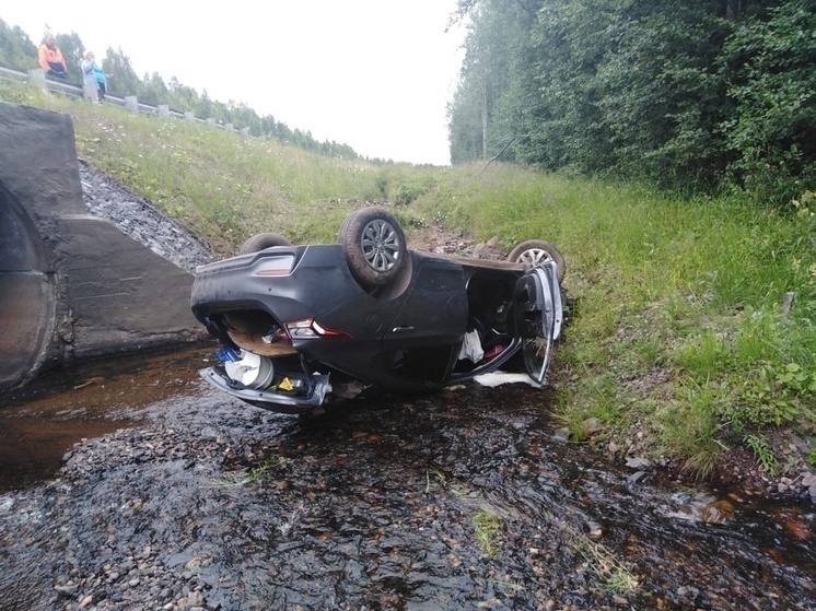 Минздрав создал интерактивную карту ДТП на дорогах Карелии