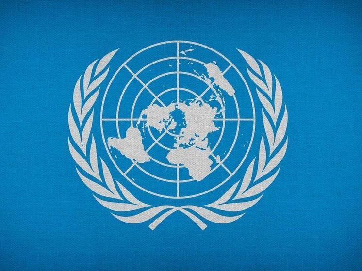 RFI: Представители ООН встретились с мятежниками в Нигере