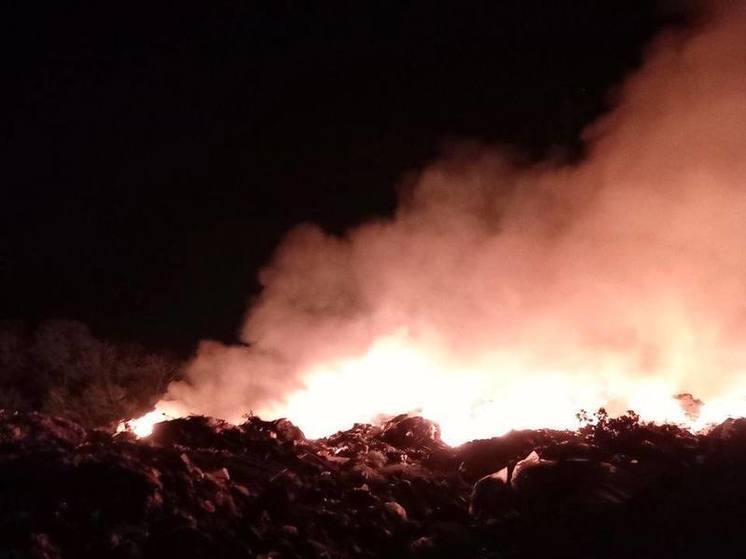 В Белгороде загорелся мусорный полигон
