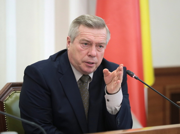 Василий Голубев прокомментировал атаку дронов-камикадзе на Ростовскую область