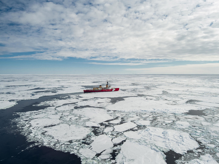 Ученых взбудоражило таяние льдов Антарктики: «Мы совершенно не готовы»