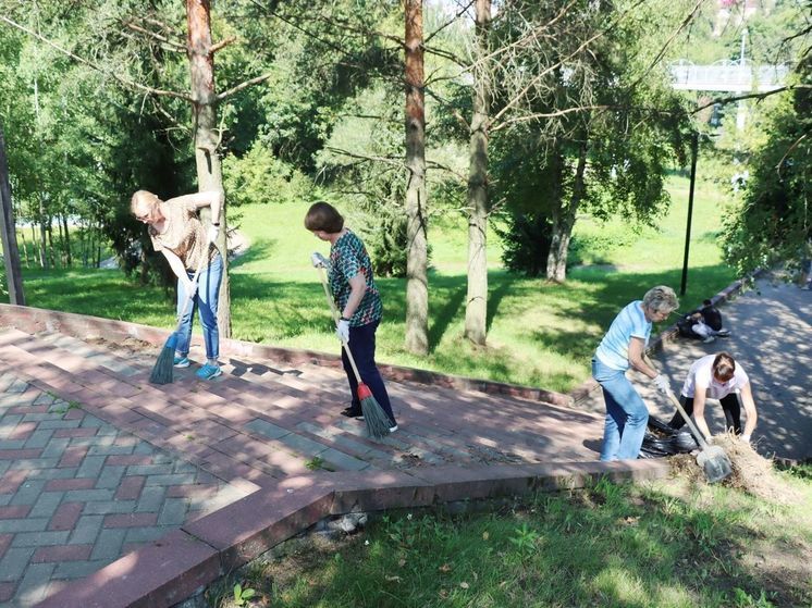 Санитарные дни прошли в Брянске