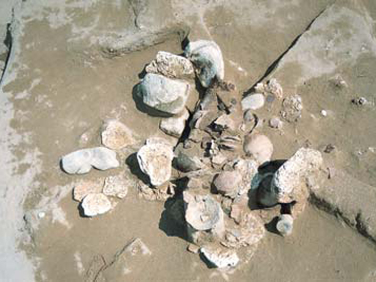 Разгадана загадка деформированных черепов из древнего захоронения
