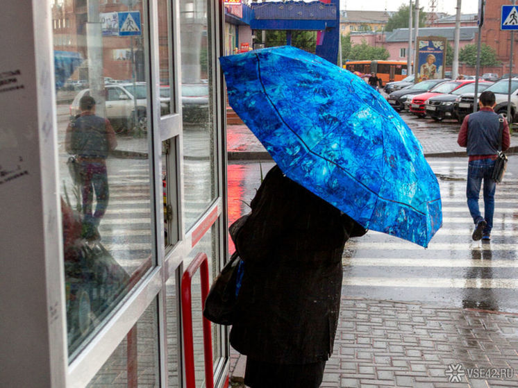 +23°C и дожди: синоптики рассказали о погоде в Кузбассе на начало недели