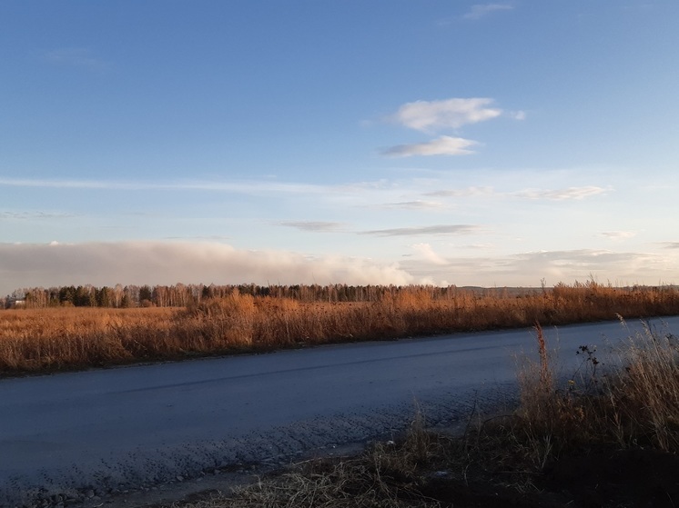 Водитель ВАЗ погиб в ДТП с лосем на Режевском тракте