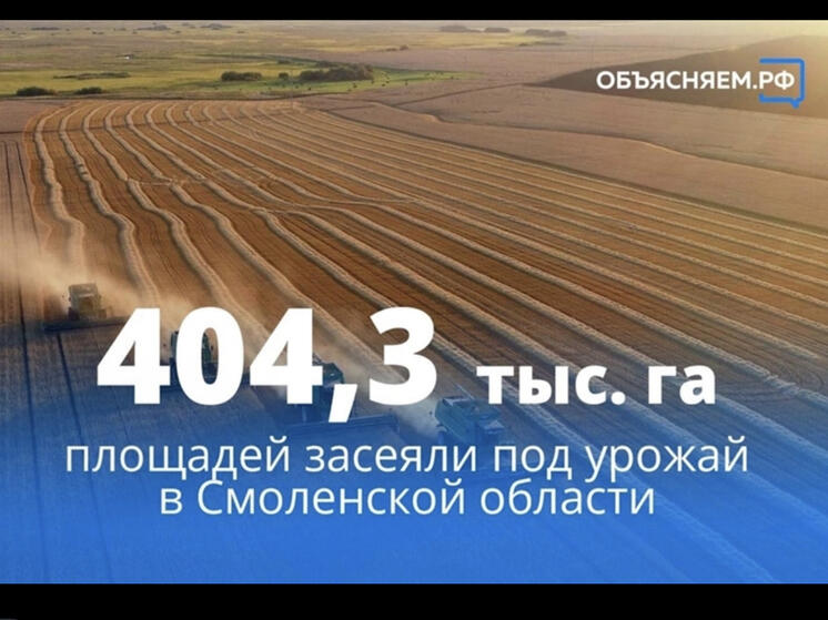 Под урожай этого года в Смоленской области засеяли 404,3 тысяч га площадей