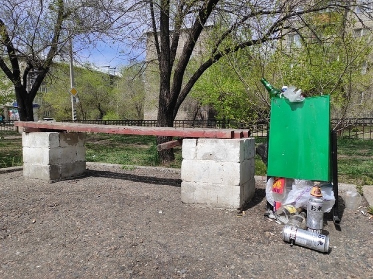 Дежурный по Чите призвал рестораны и бары очищать урны в выходные
