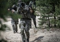 Бойцы 71-го гвардейского мотострелкового полка рассказали, что Вооруженные силы Украины каждый день подводят новые силы на запорожский участок фронта