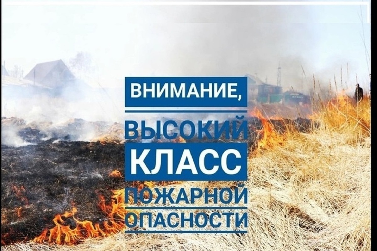 В Ярославской области ухудшилась противопожарная обстановка