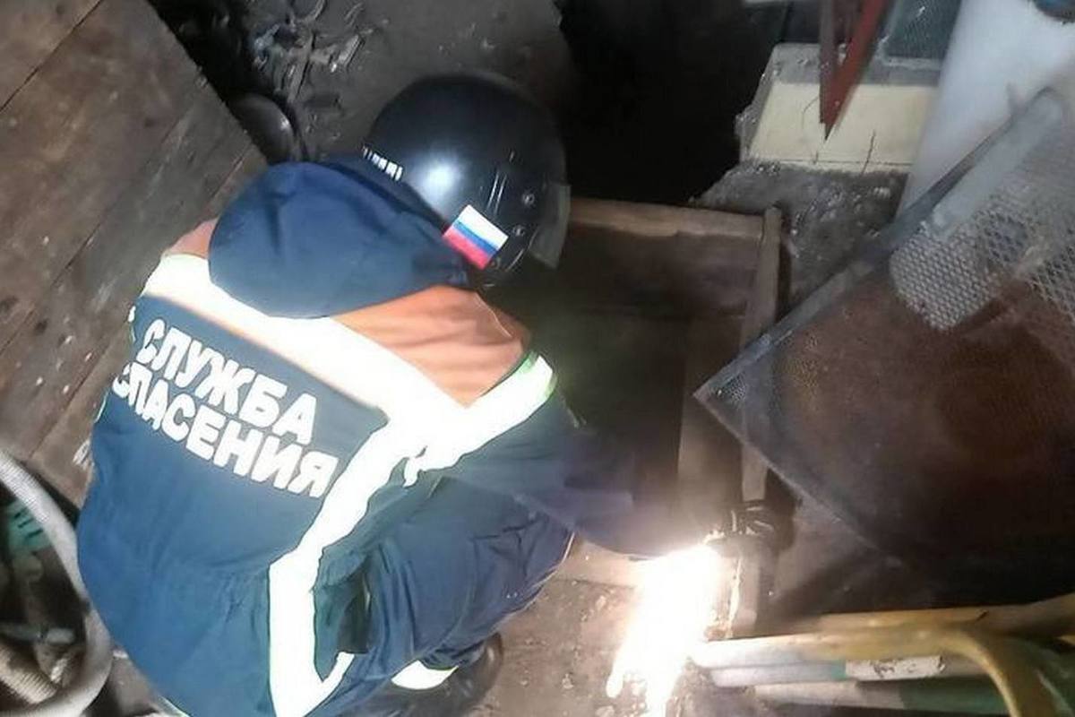 Газель в саратове