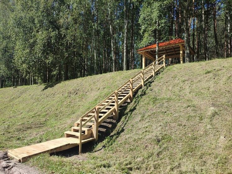 Лесники обустроили зоны отдыха в Навлинском районе Брянщины