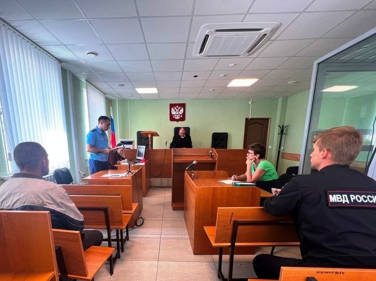 В Курской области судили 49-летнего мужчину за 30 боевых патронов