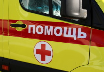 Причиной случая сибирской язвы в Воронежской области стала разделка туши инфицированного животного