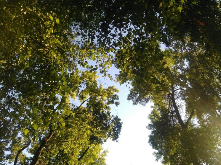 Неделя в Перми будет холодной