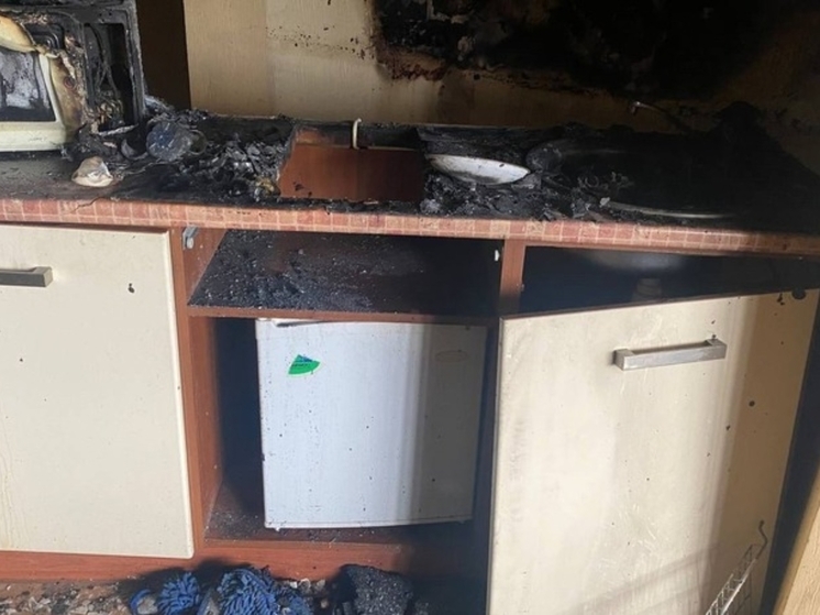 Жильцы однокомнатной квартиры потушили пожар подручными средствами