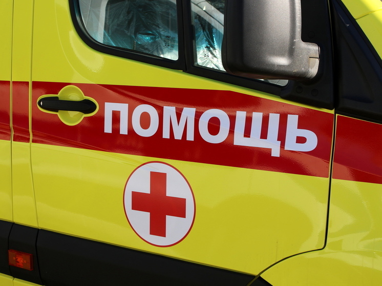 Раскрыты подробности обнаружения сибирской язвы под Воронежем