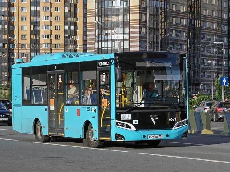 Конфликт интересов: почему в Парголово могут не поехать новые автобусные маршруты