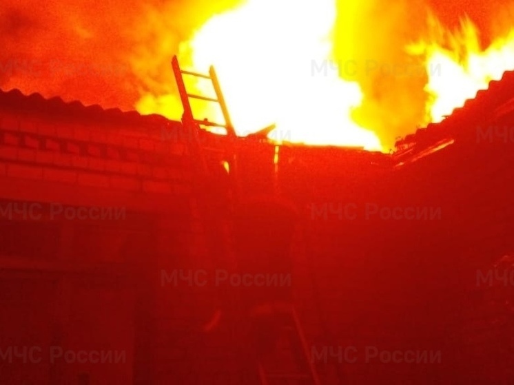В Орловской области добровольцы вместе со спасателями тушили дом