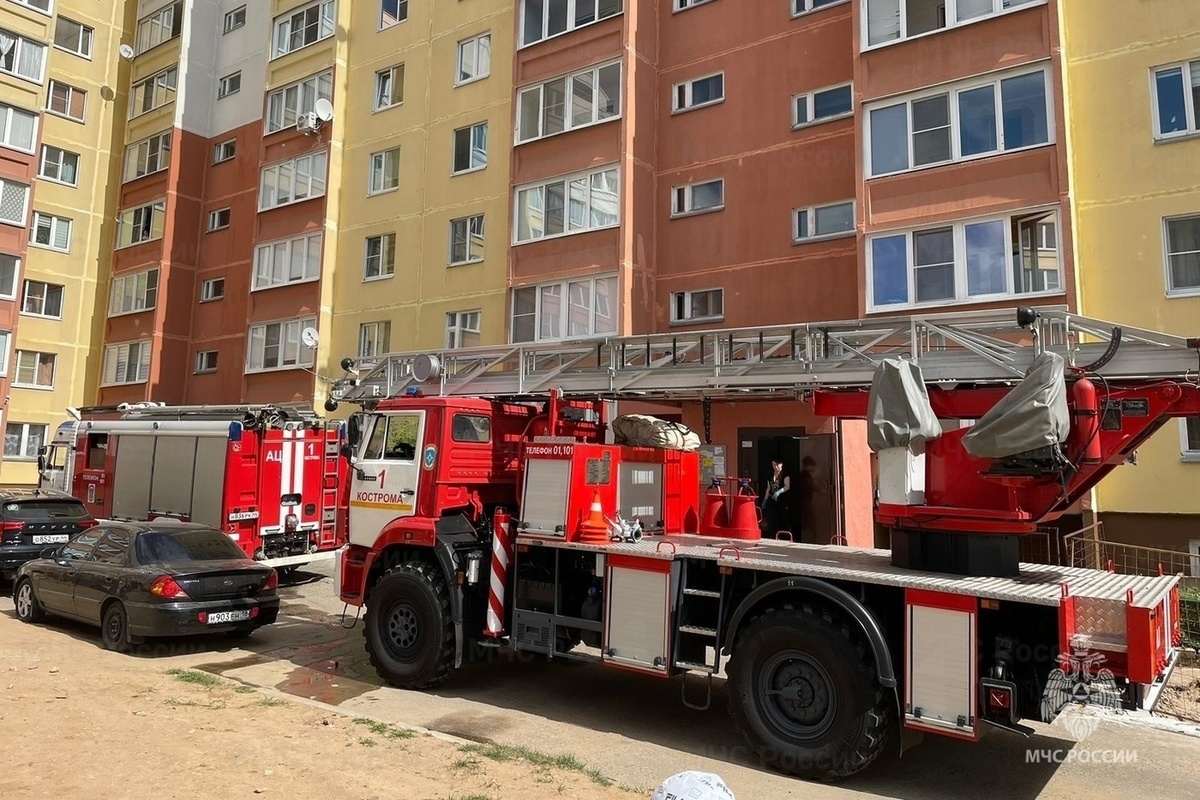 В Костромской области за неделю сгорели 17 объектов, в одном из пожаров погиб мужчина