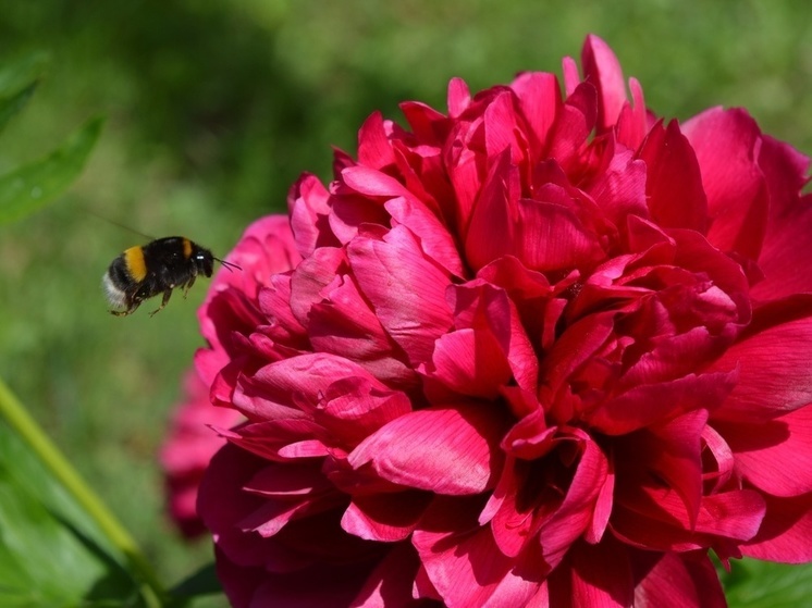 Жителей ДНР ожидает кратковременное похолодание