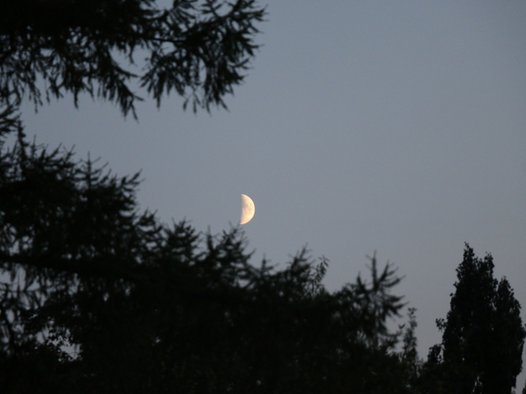 Матвеев день: почему 22 августа нельзя смотреть на луну