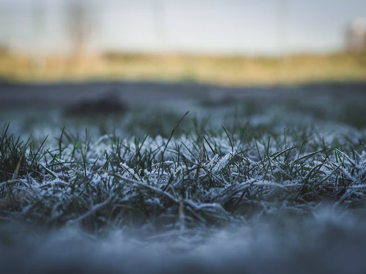 Заморозки на почве ожидаются в Удмуртии в ночь с 21 на 22 августа