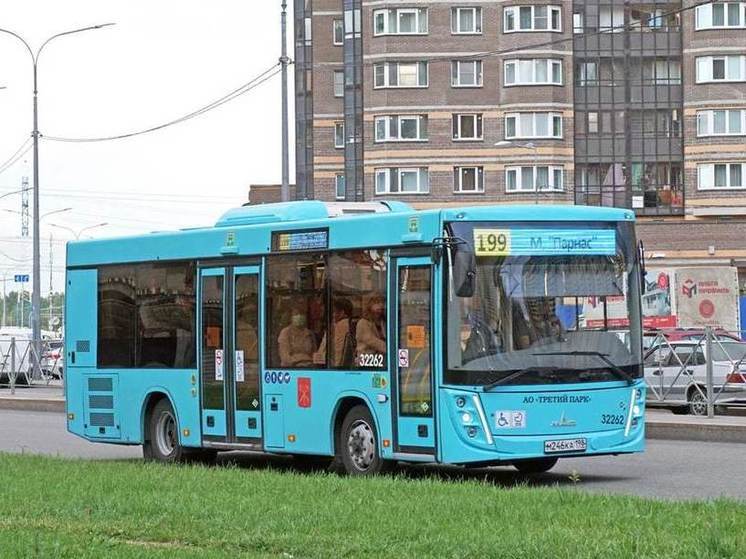 Политолог Солонников рассказал о необходимости автобусной площадки в Парголово