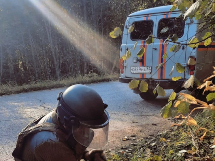 В Вязьме и Ярцевском районе нашли артснаряды времён ВОВ