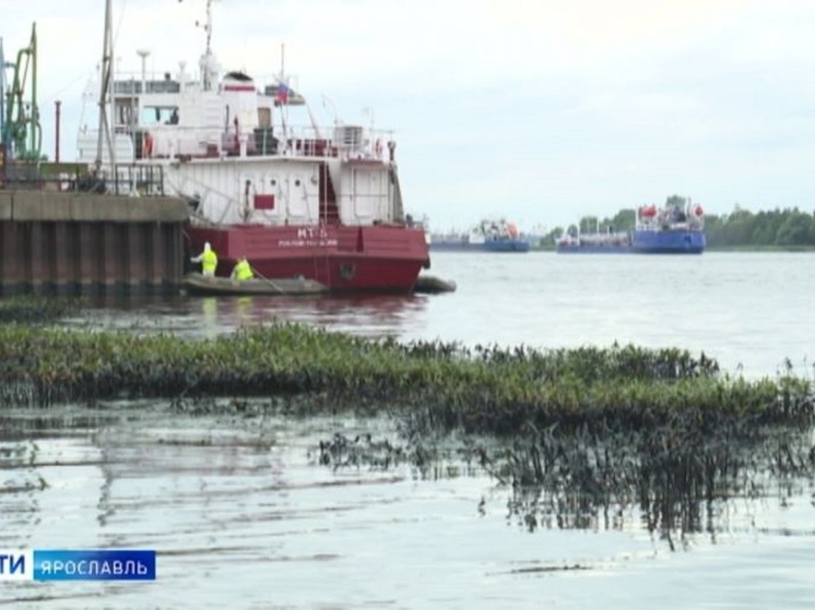 В Ярославле заявили, что нефтебаза во Фрунзенском районе не виновата в нефтеразливе