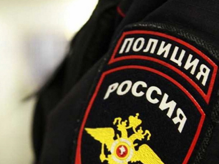 Курская полиция проводит проверку по факту конфликта женщины и подростков