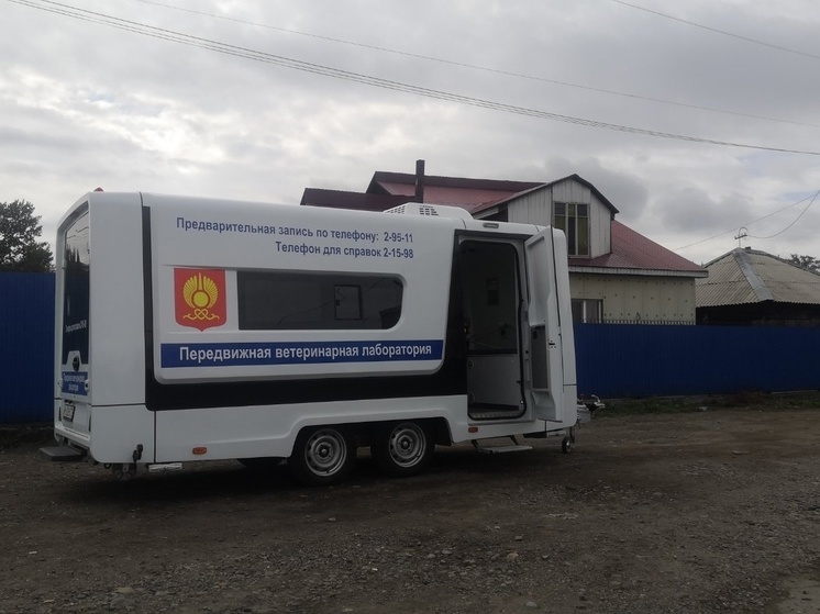 В Кызыле в ветмобиле  бесплатно стерилизуют питомцев