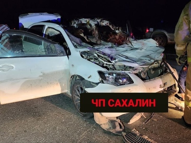 Водитель Toyota Corolla Axio сбил лошадей на Сахалине