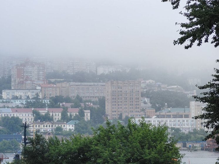Жители Владивостока требуют прекратить активные застройки в микрорайонах