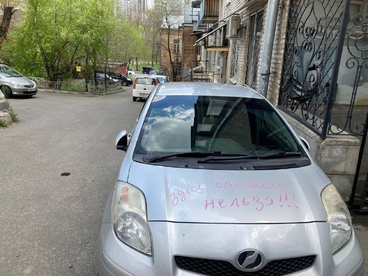 В Хабаровске водителям выписали больше 230 штрафов за парковку на газонах