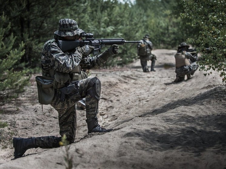 Макгрегор: украинская армия тает в результате контрнаступления