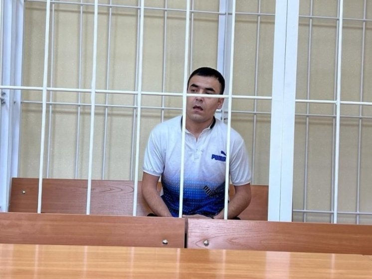 В Новосибирске суд начал рассматривать дело о поджоге 10 дорогих иномарок