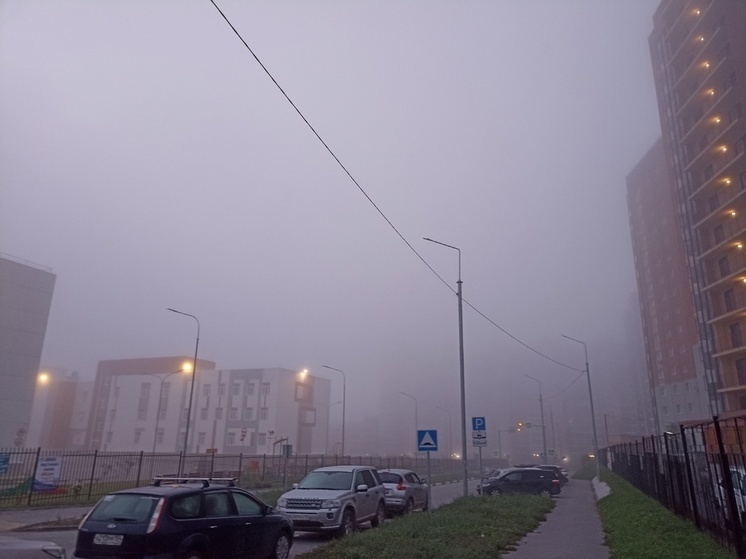В Новосибирске водителей предупредили об опасности тумана на дорогах