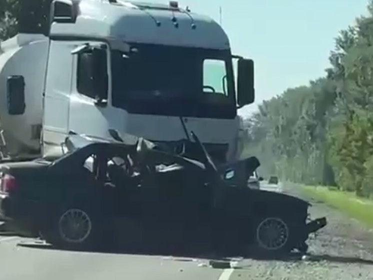 Водитель BMW погиб на Чуйском тракте, врезавшись в бензовоз