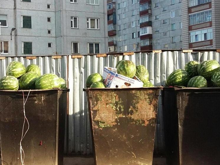 Жителей Брянщины просят правильно утилизировать фрукты