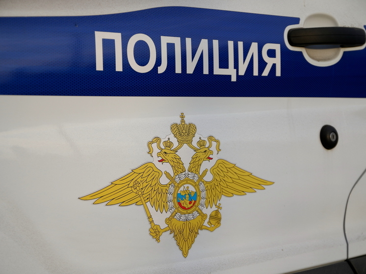 В Петербурге мужчина домогался до восьмилетней девочки